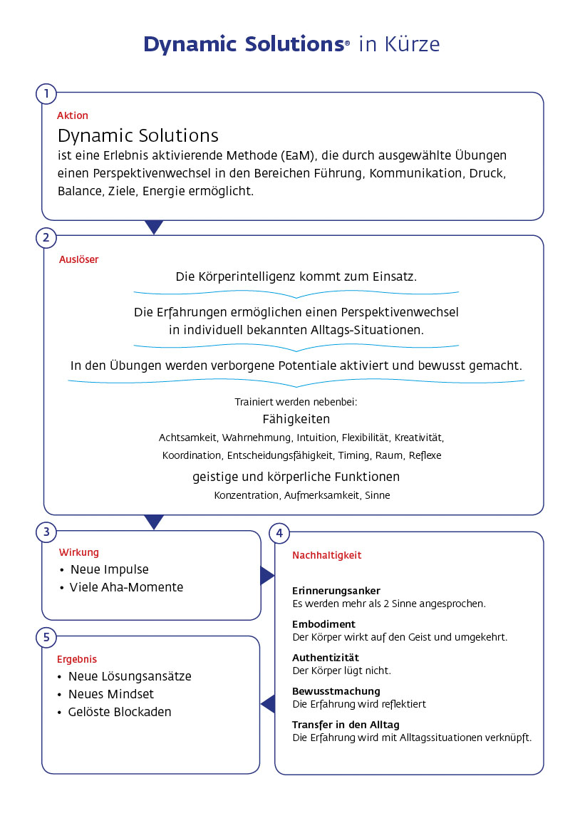 Dynamic Solutions kurz erklärt