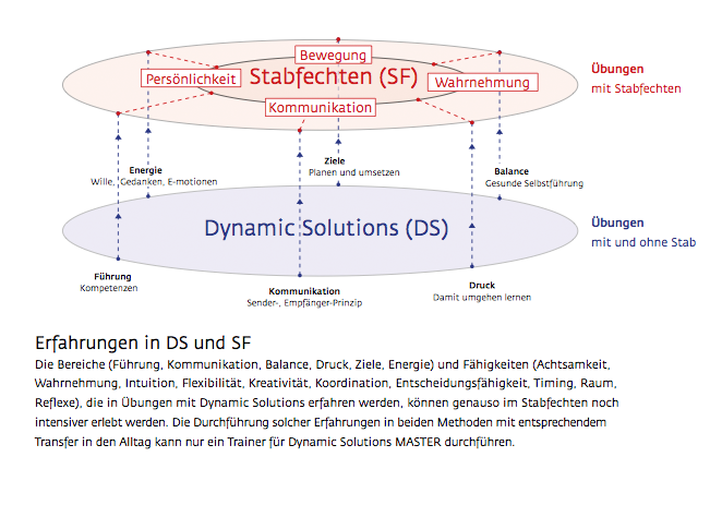 erfahrung-SF-DS